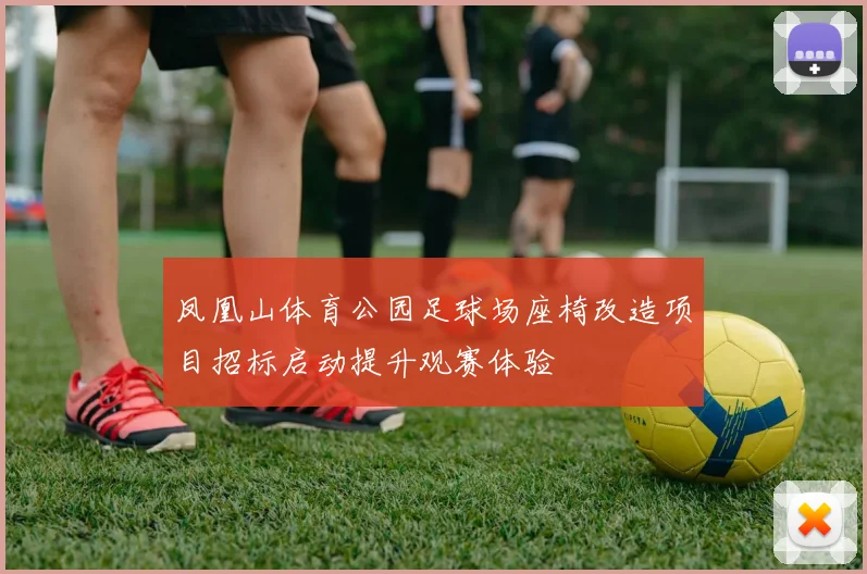 凤凰山体育公园足球场座椅改造项目招标启动提升观赛体验